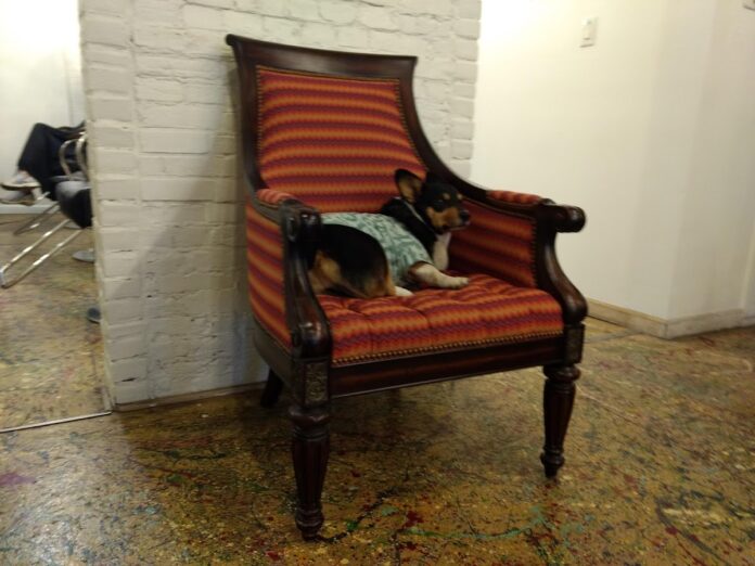 american-mortals-philadelphia