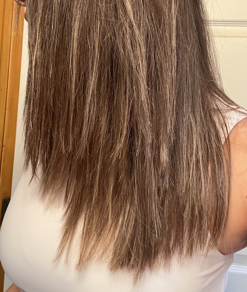 Wild Honey Salon