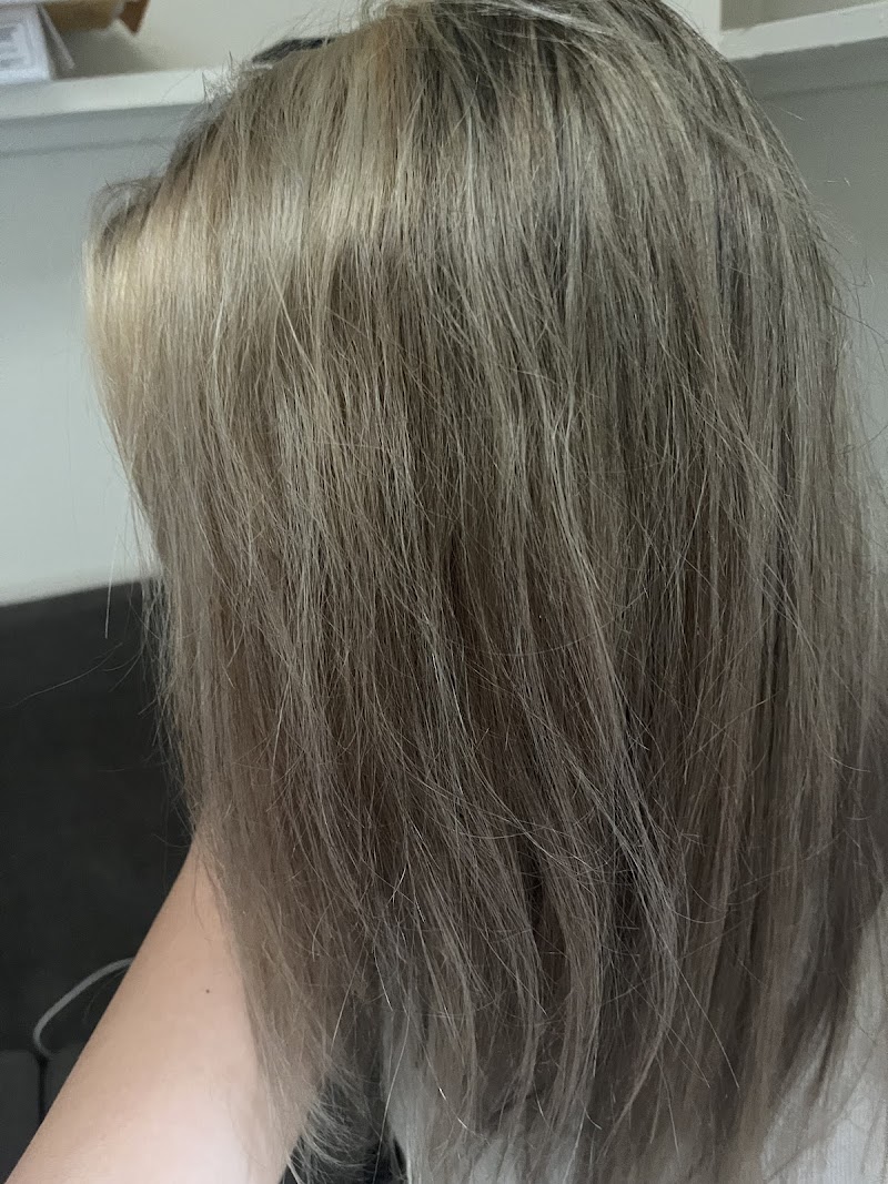 Wild Honey Salon